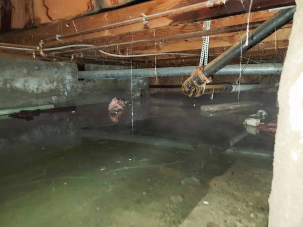 Best Residential water damage restoration  in Royal Kunia, HI