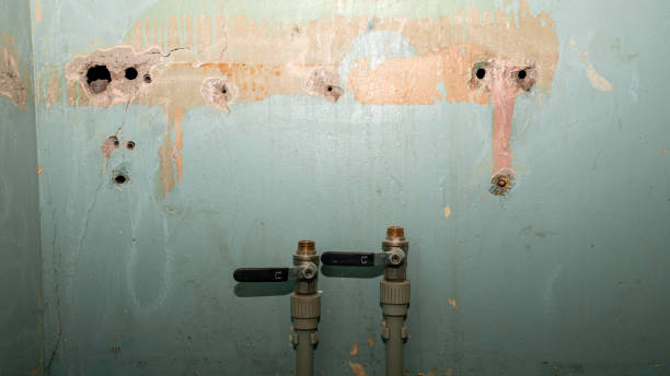 Best Sewage cleanup and water damage restoration  in Royal Kunia, HI