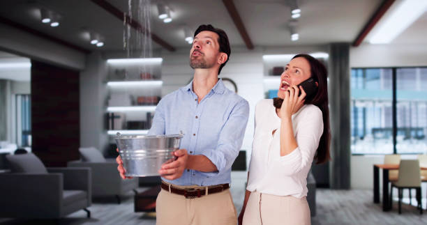 Local water damage restoration in HI