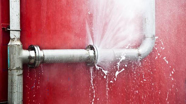 Best Water damage cleanup near me  in Royal Kunia, HI